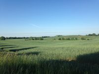 Blick auf Felder und Wiesen zwischen Klein Fredenwalde und Willmine