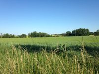 Wiesen und Felder nahe Stegelitz